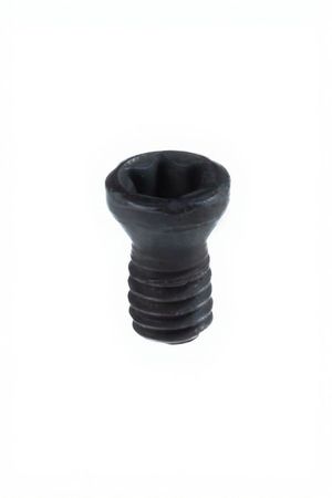 Винт Garant 8IP M2,5x5,5 219814